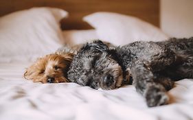 Holiday Inn Southend By Ihg